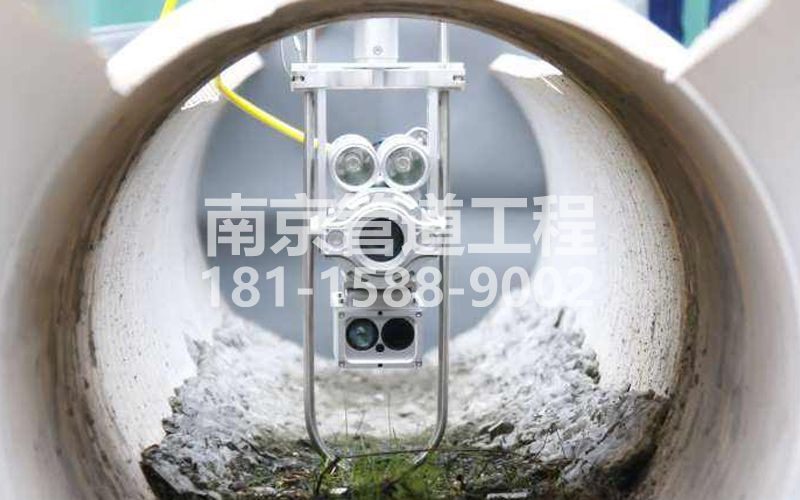 青田雅居QV检测